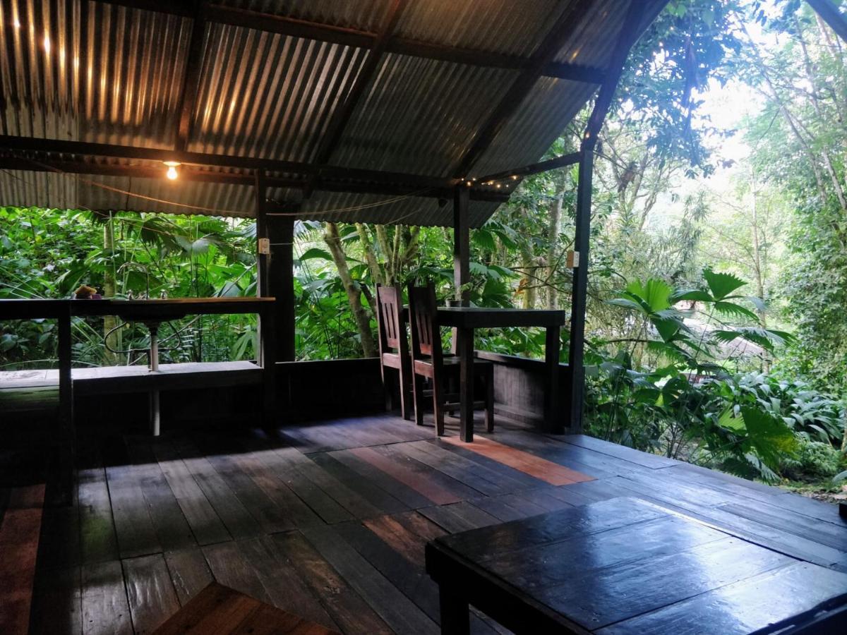 Los Mineros Guesthouse Dos Brazos Eksteriør bilde