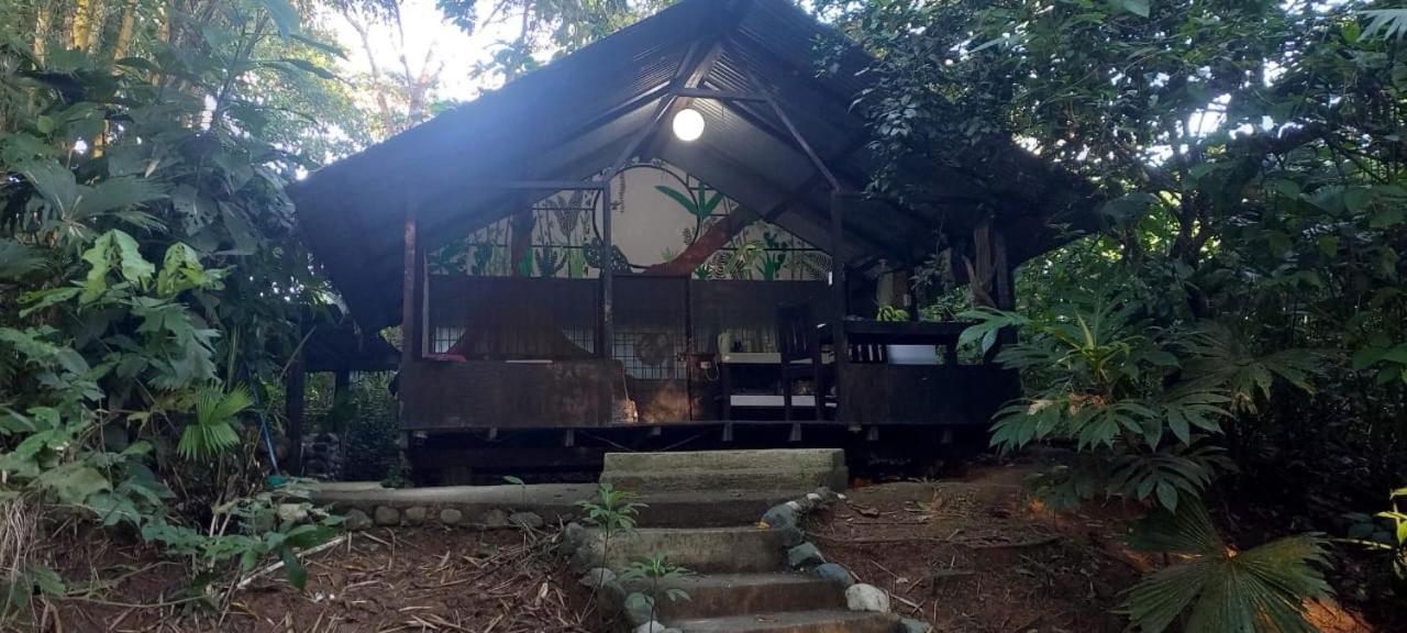 Los Mineros Guesthouse Dos Brazos Eksteriør bilde